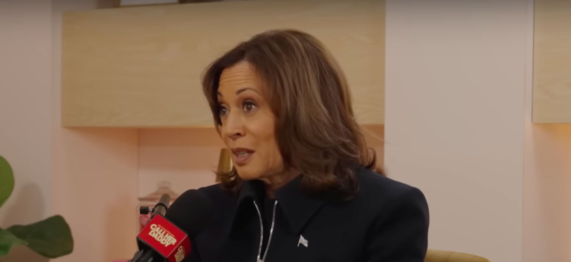 NextImg:Yes, Kamala, It’s Not the 1950s — and That’s Not Uniformly Wonderful